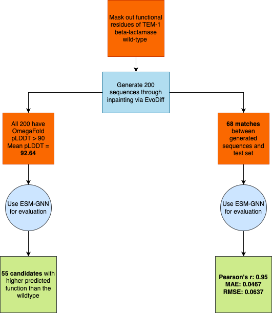 Generating and Screening Sequences for TEM-1 β-lactamase