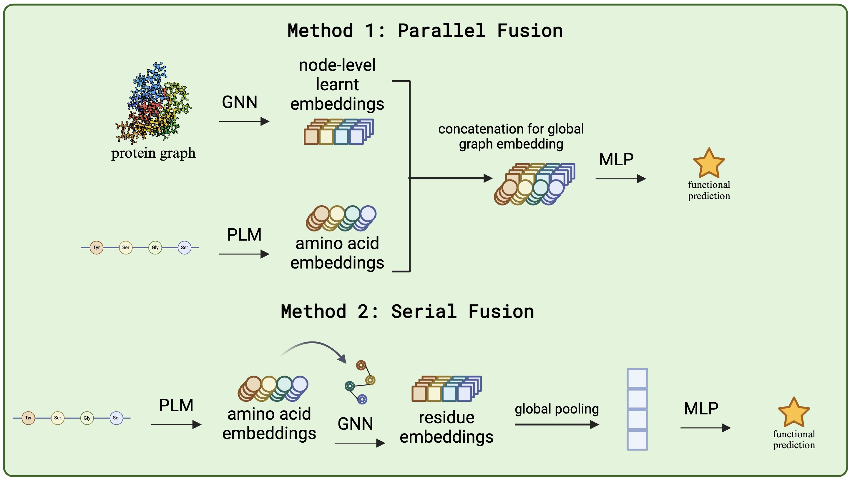 Sequence-to-function pipeline